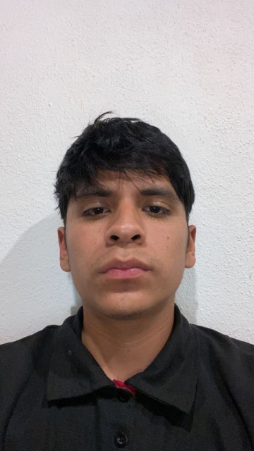 Carlos Daniel Ramirez Cerritos
