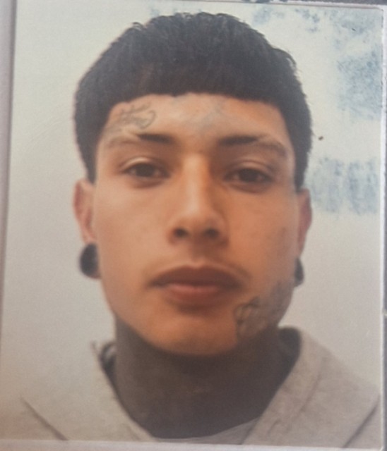 GONZALEZ RAMÍREZ LEONARDO DANIEL 