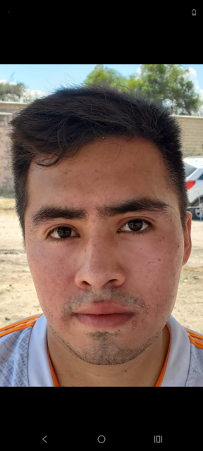 José Ricardo Ochoa Guerrero 