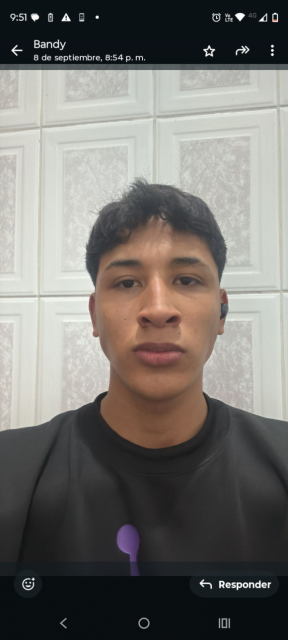 Carlos Israel Soria Chávez 