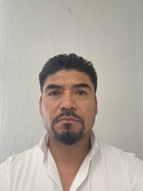 NESTOR SILVA HERNANDEZ