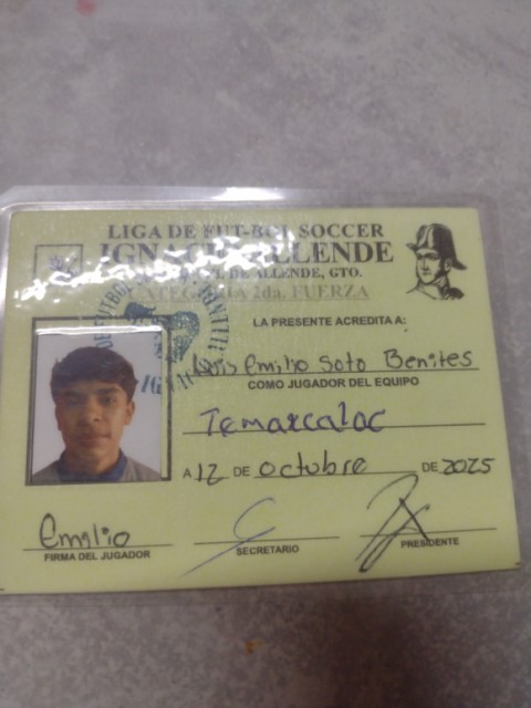 Luis Emilio Soto Benites