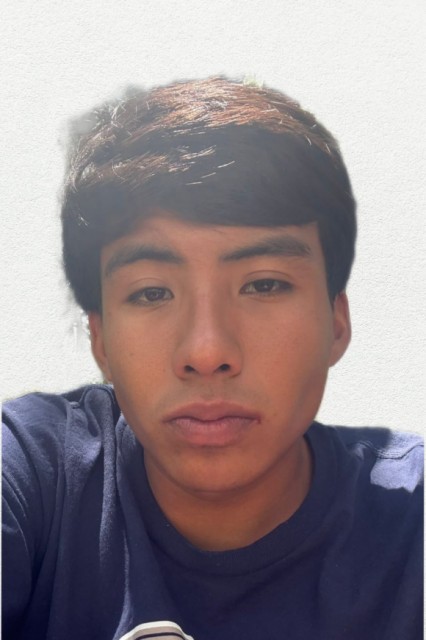 Cerna Murillo Alejandro Emmanuel 