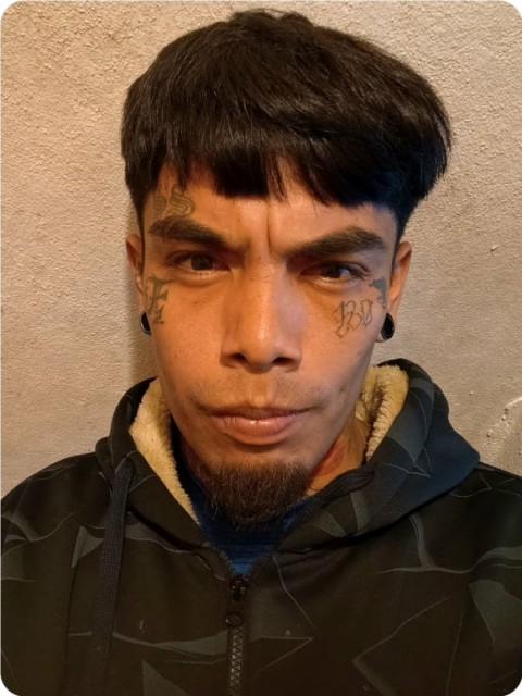 BUSTAMANTE MORIN FERNANDO ULISES