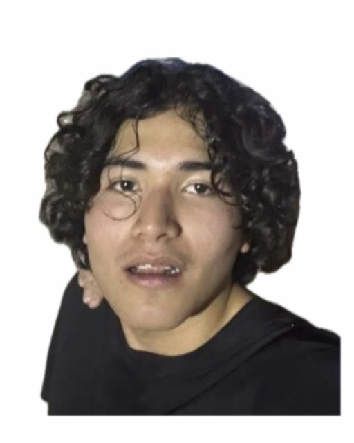 Juan David Tapia Frias 