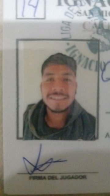 Castillo Ramírez Carlos Armando 