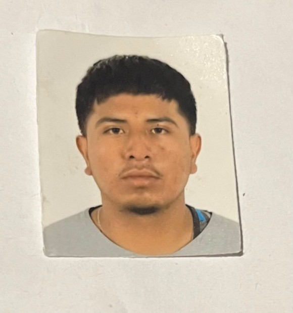Luis David Trejo Trejo