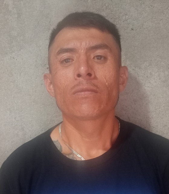 Mario Fernando ladrillero pitallo 