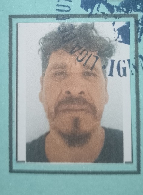 J. Dolores Trejo Zapatero 