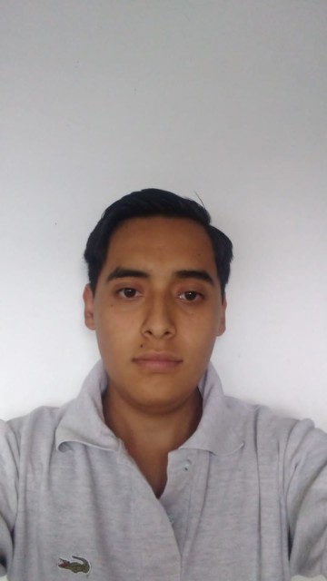 JOSE ALEJANDRO CEBALLOS RUIZ