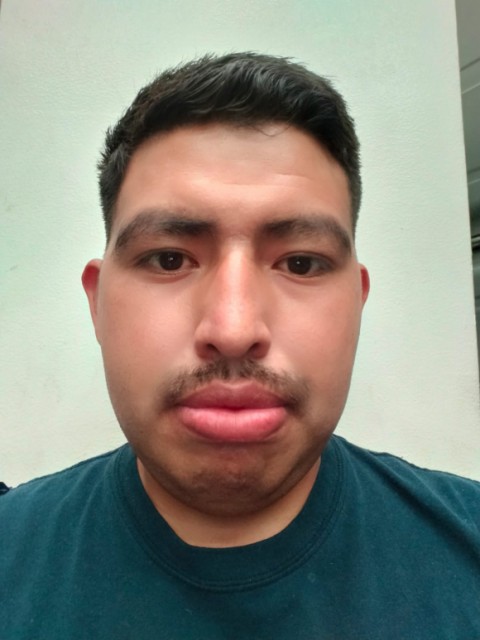 JOSE NARCISO SEVERIANO LICEA COPADO