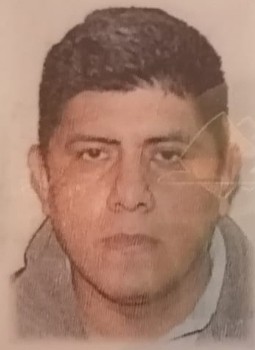 Miguel Angel Gonzalez Estrada