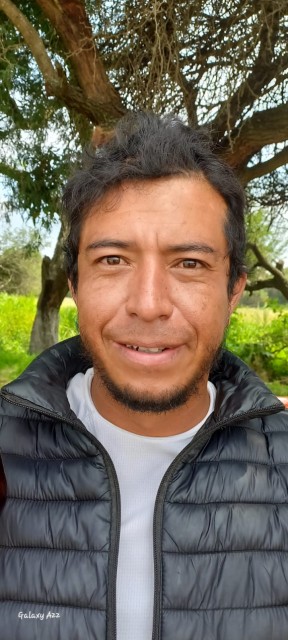 DANIEL ALEJANDRO BRICEÑO BAEZA