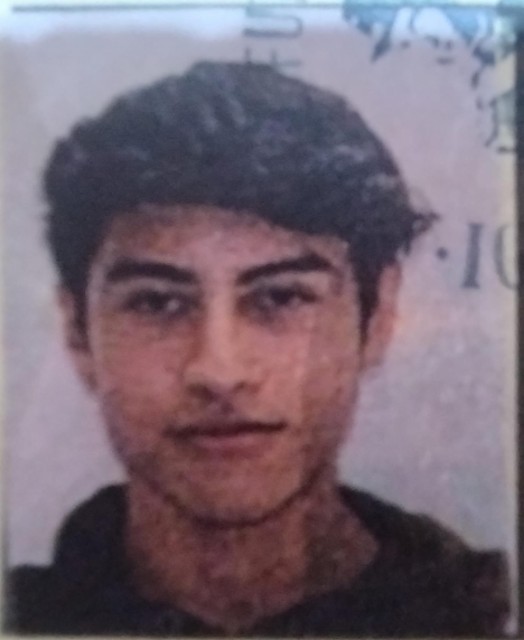 Alan Armando Angeles Bárcenas 