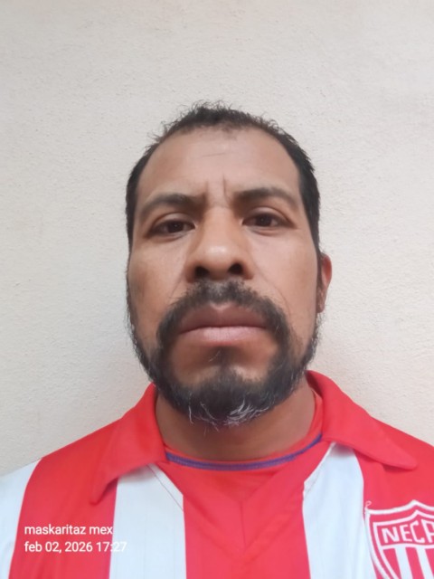 Felipe Torres Dávalos 