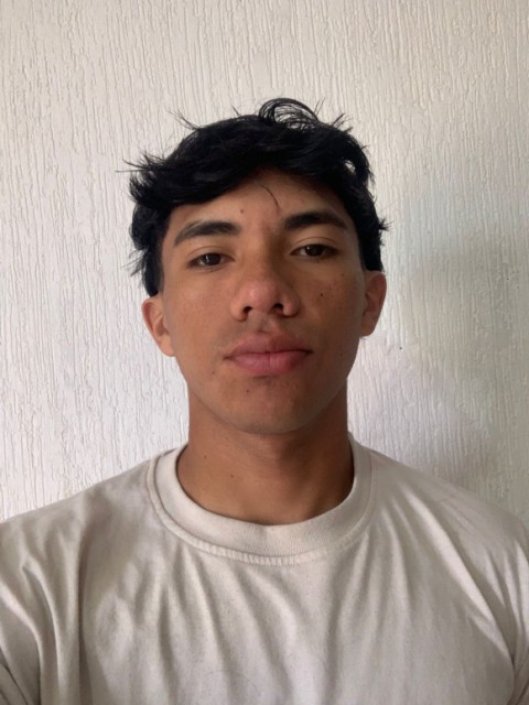 Johan David Mendoza Acosta
