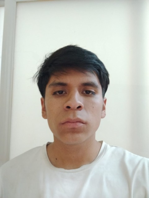 Ramirez cerritos carlos daniel 