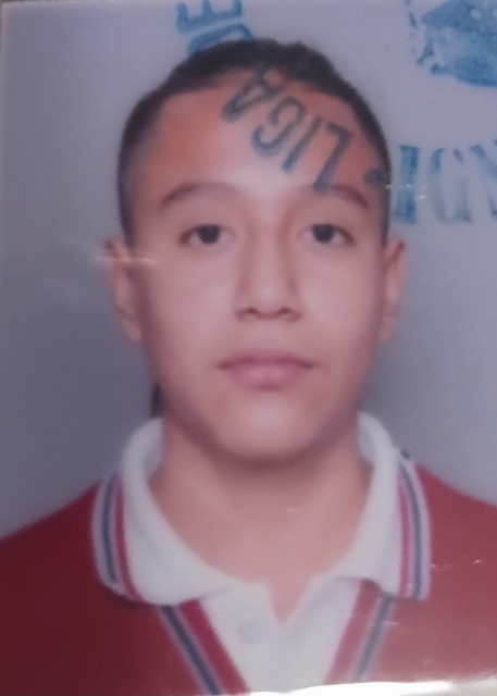 Ian Santiago Cruz Soria